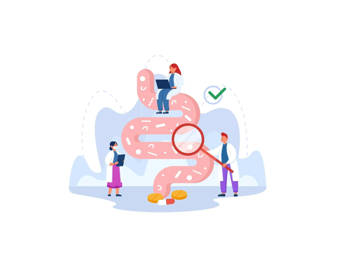 Oral Health and Gut Health