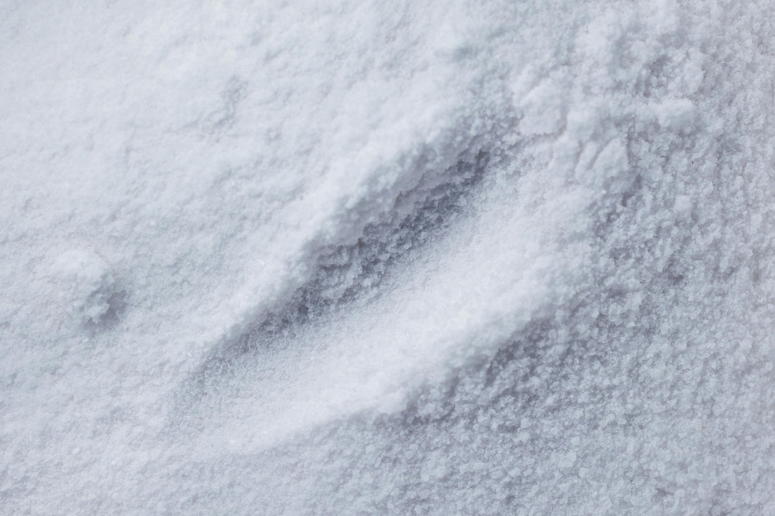 Nano Hydroxyapatite in Oral Care